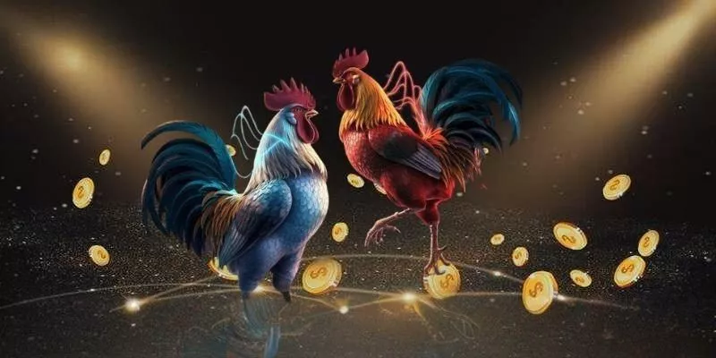 Khám Phá Về Đá Gà Thomo Tại SIN88 – Nơi Hội Tụ Của Những Trận Đấu Đỉnh Cao